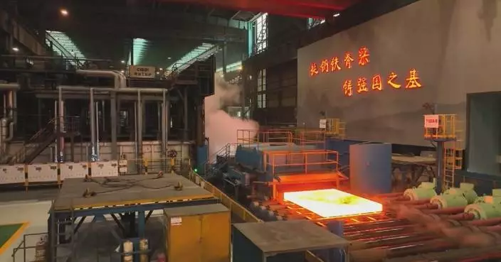China’s bulk commodity market stays resilient amid external headwinds: report
