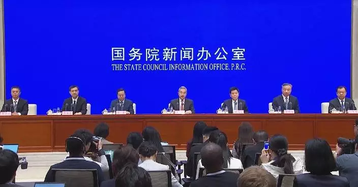 Chinese FM outlines five priorities for global governance as white paper released