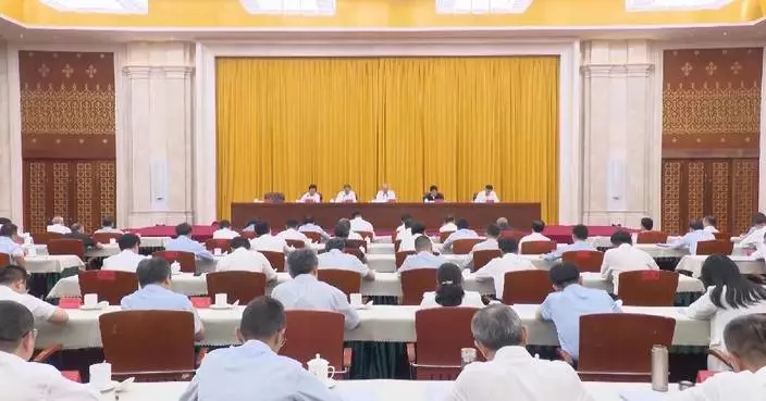 Xi stresses coordinated regional development, solid progress toward common prosperity