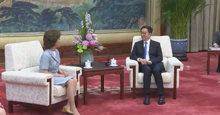 Chinese vice president meets former U.S. transportation secretary