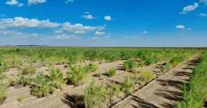 Data indicates tangible results in China's desertification efforts during 14th Five-Year Plan