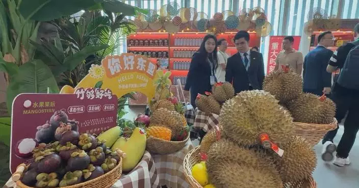 China, ASEAN launch economy development center to boost cooperation