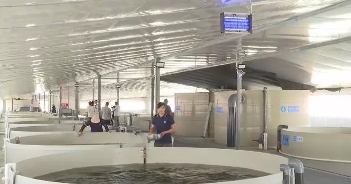 Fujian-Ningxia partnership drives fishery development in saline-alkali land