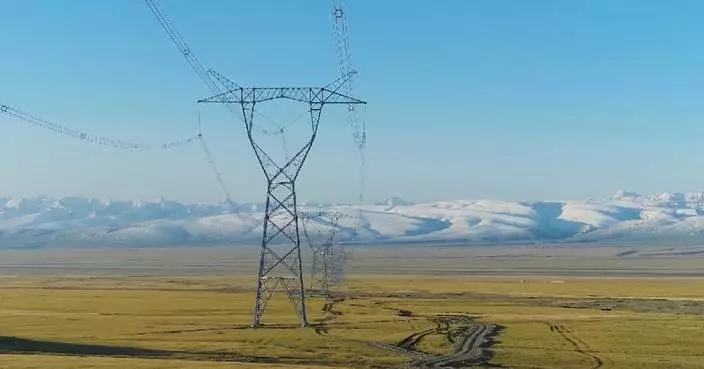 China's power use up 6.9 pct in May