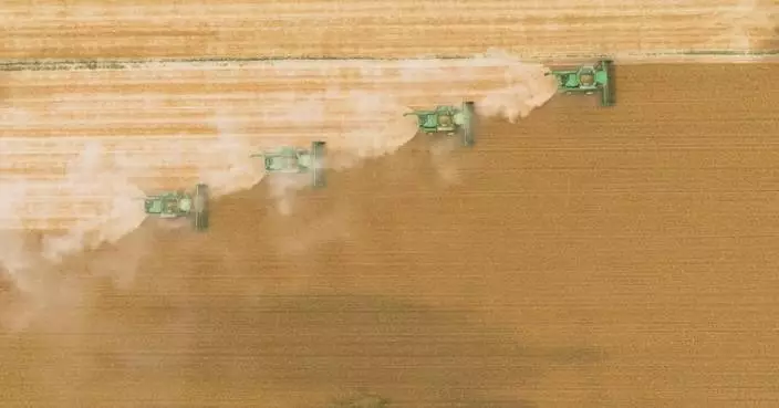 China's summer wheat harvest nears completion