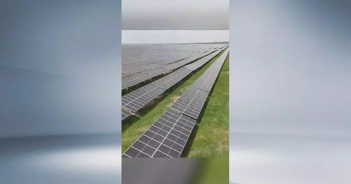 "Great Wall" of solar panels protects ecology on desert edge in Shaanxi