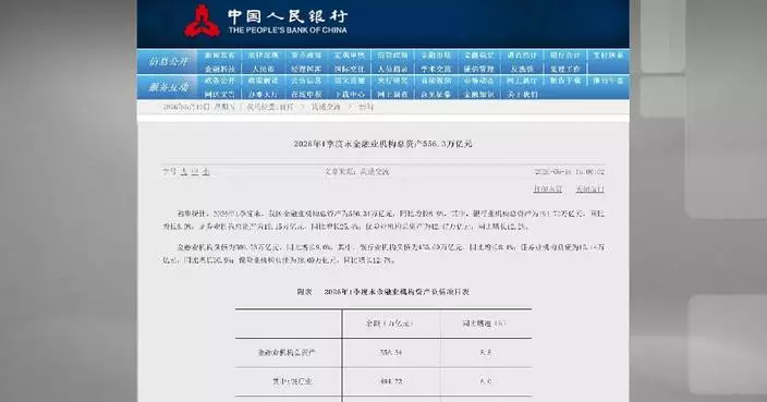 China's financial institutions report 8.8 pct growth in total assets: data
