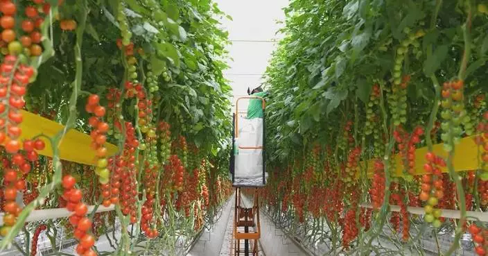 Regional partnership helps Fujian, Ningxia combine strengths in developing smart industries