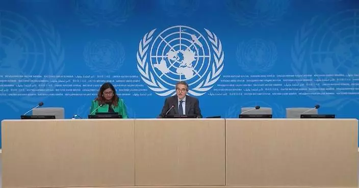 IAEA chief welcomes US-Iran peace memorandum
