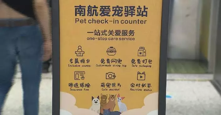 Chinese airlines expand cabin access for pets as demand for pet-friendly travel grows