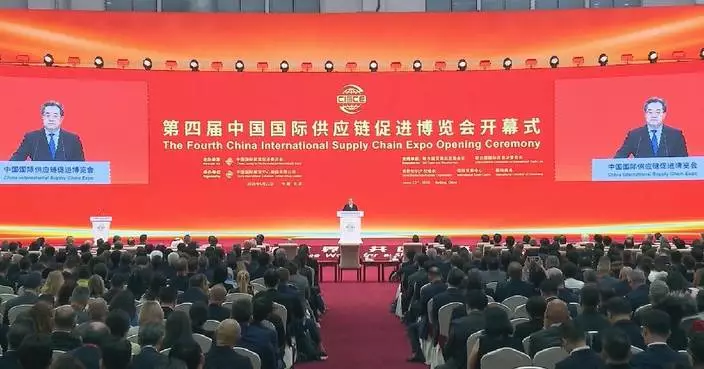 Chinese vice premier urges joint efforts to safeguard global industrial, supply chains