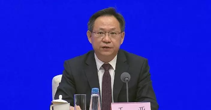 China to expand opening-up areas with focus on service sector: official
