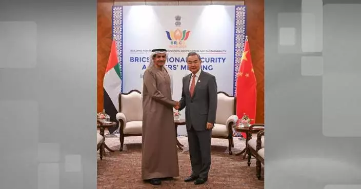 China's top diplomat meets UAE supreme national security council secretary-general