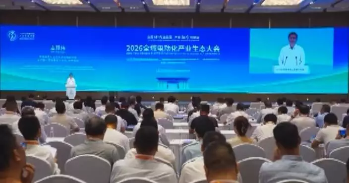 China proposes 'full-domain electrification' concept, eyes 8 trln yuan industry by 2030