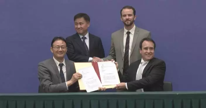Brazil delivers letter of intent for panda bond issuance to China