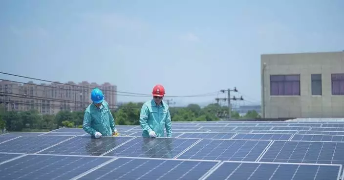 China aims for new energy to become main power source by 2030: official