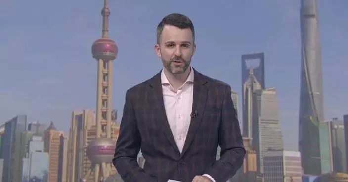 Hong Kong stocks slip due to impact from newly-added AI companies: analyst