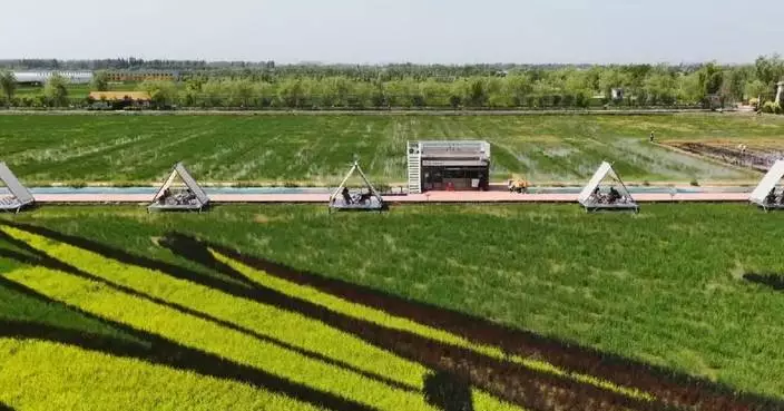 Rural eco-tourism park attracts flocks of visitors in northwest China