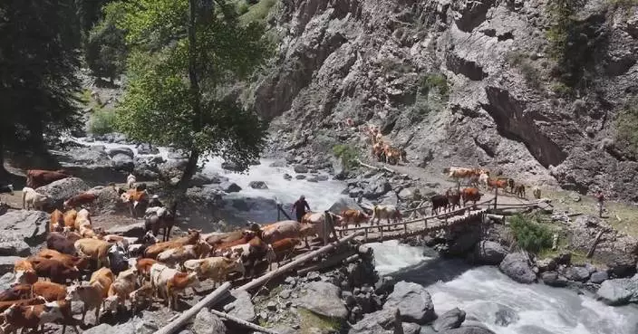 Rugged mountain passes repaired to secure summer livestock transfer in northwest China