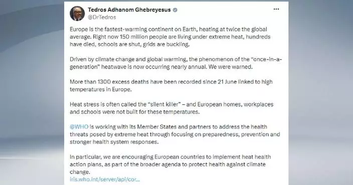 Over 1,300 excess deaths linked to Europe heatwave: WHO