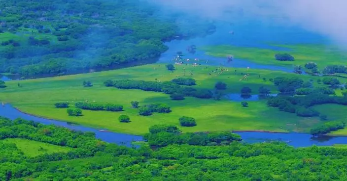 Morning mist turns Inner Mongolia's wetland into dreamlike landscape