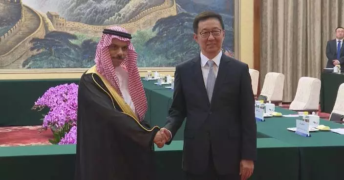 Chinese vice president meets Saudi FM