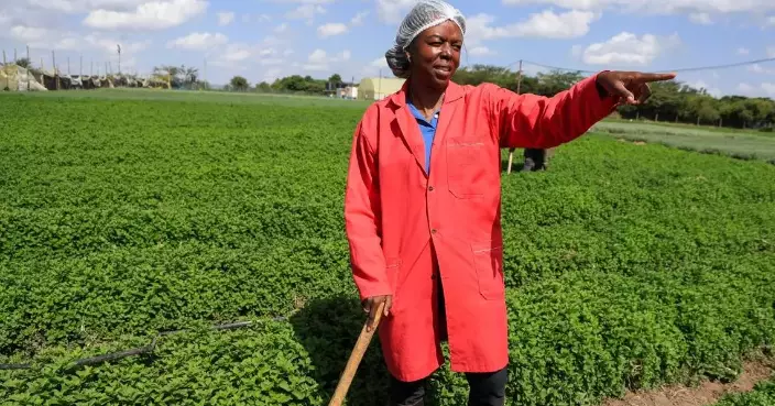Solar cold storage helps African farmers cut losses and reach global markets
