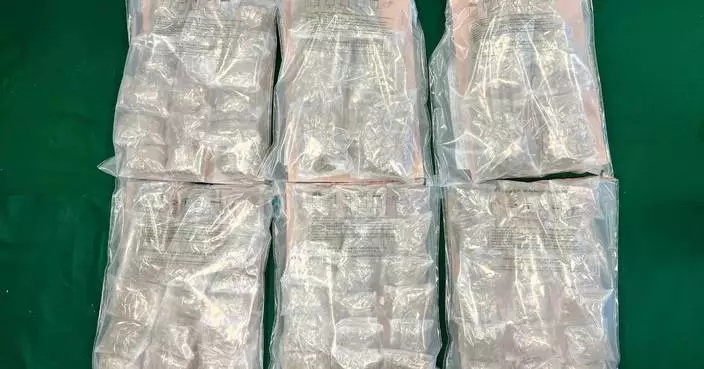 Hong Kong Customs Seizes 5.8 kg of Cannabis Buds, Arrests Male Passenger at Ferry Terminal