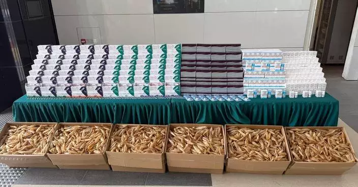 Hong Kong Customs Seizes $10 Million in Suspected Smuggled Goods, Arrests Driver