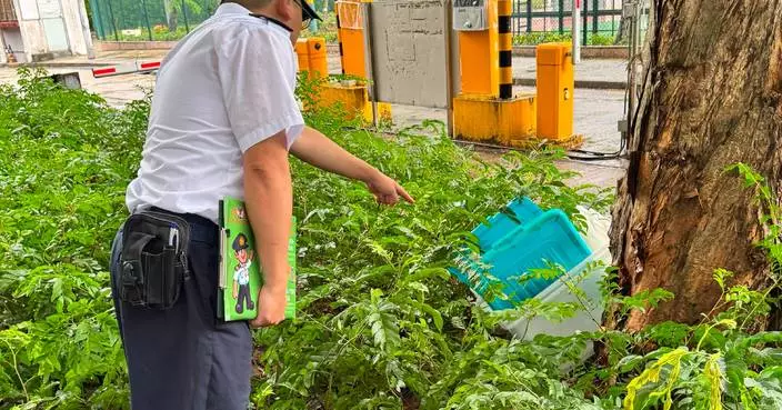 FEHD Releases June Gravidtrap and Density Indexes for Aedes albopictus Across 19 Survey Areas
