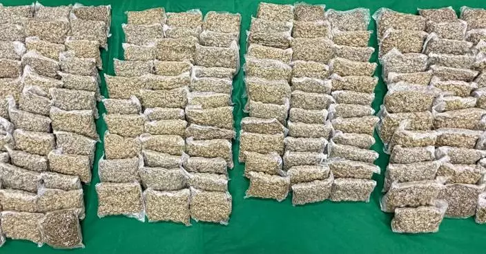 Hong Kong Customs Seizes $14.5 Million in Cannabis at Airport, Arrests Suspect.
