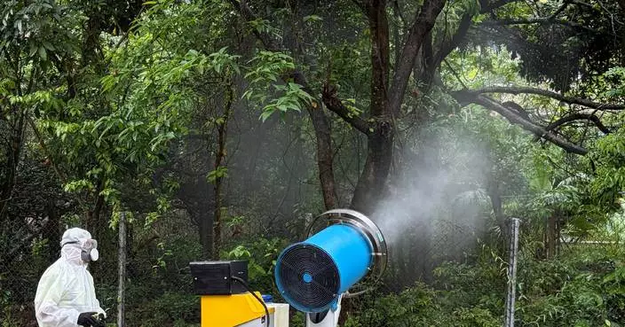 FEHD Releases June Aedes Albopictus Mosquito Indexes, Highlights Increased Infestation Risks Across Hong Kong Districts.