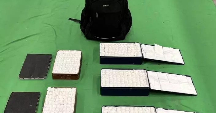 Customs Seizes 777 Endangered Bird Eggs Worth $10.9 Million at Hong Kong Airport.