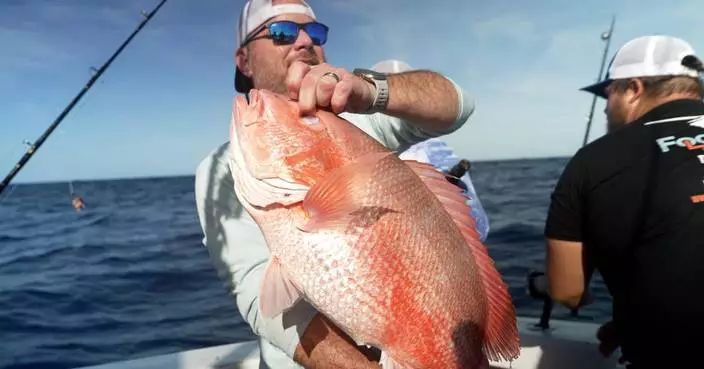 A fish fight off Florida tests Trump’s drive to deregulate America’s seas