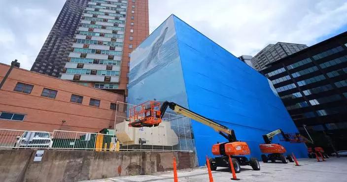Artist suing FIFA over destruction of Dallas whale mural before World Cup