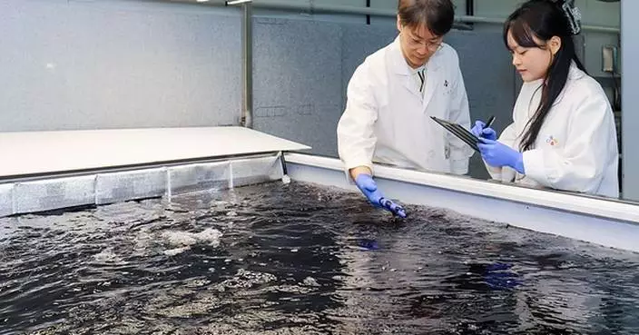 CJ Foods to Break Ground on Commercial Land-Based Gim Cultivation Facility, Pioneering Sustainable Production of Korean Seaweed