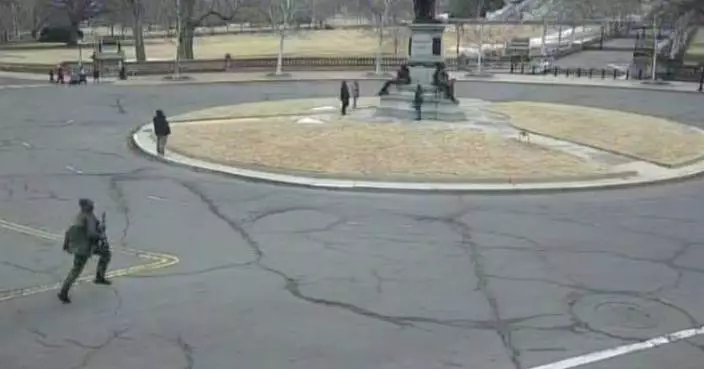 Georgia teen pleads guilty to gun charge for running onto Capitol grounds with loaded shotgun