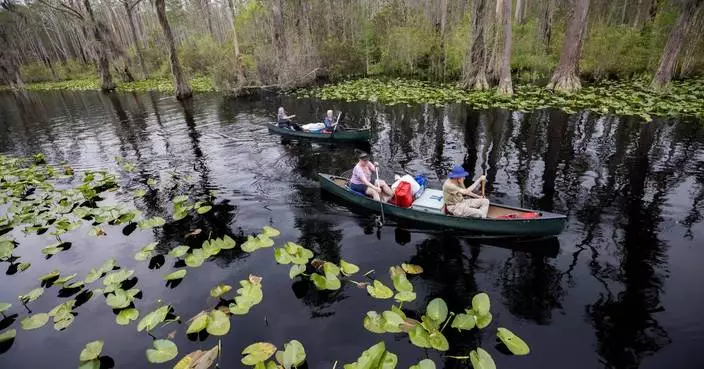 Georgia's Okefenokee Swamp among new additions to join UNESCO's World Heritage List