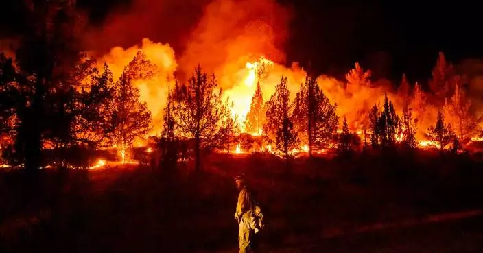 Wildfires are more extreme in Europe and North America, but global burning is oddly decreasing