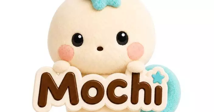 Japan's Cross-Border E-Commerce "WAFUU.COM" Unveils Official Mascot Character "Mochi"