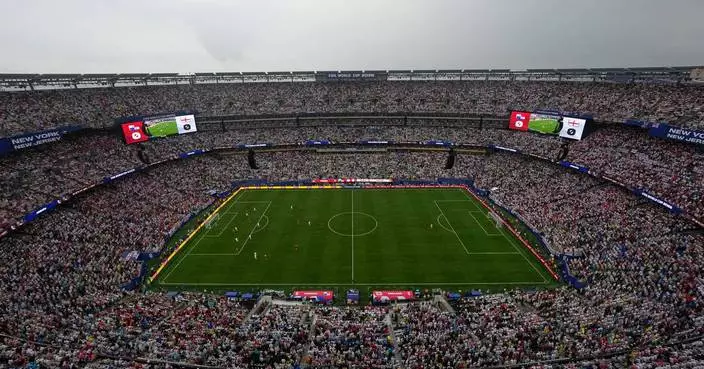 FIFA selling the field to be used for the World Cup final in $450 pieces