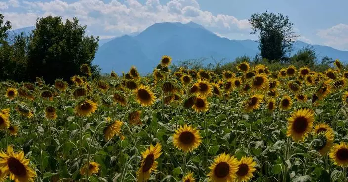 Mount Olympus, home of the ancient Greek gods, is a candidate for the UNESCO World Heritage List