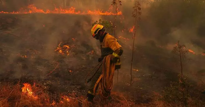 Human-caused climate change made Spanish, French fires much more likely, scientists calculate