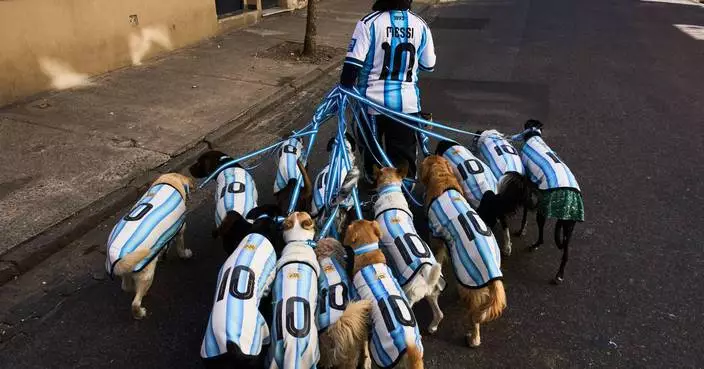One Extraordinary Photo: Argentine dog walker reflects country's World Cup passion