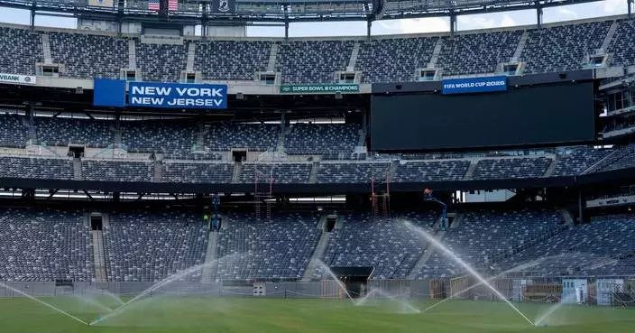The World Cup final will be played on turf with mixed reviews. Rain might help