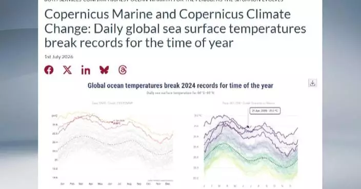 Global sea surface temperatures hit record highs for time of year