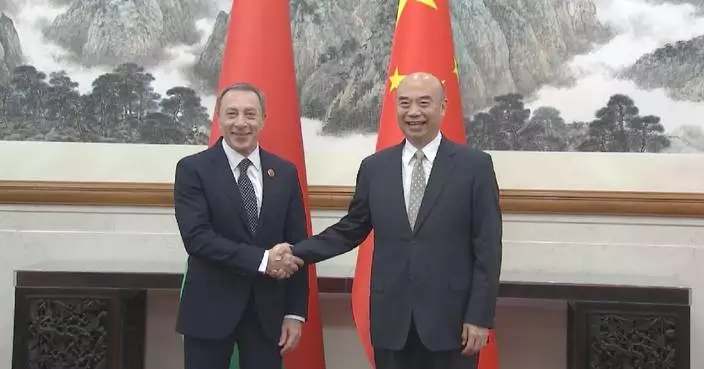 Chinese vice premier meets Belarusian first deputy prime minister
