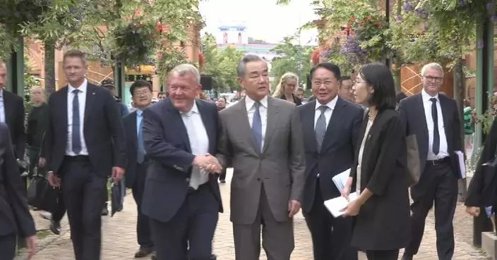 China to expand green, trade cooperation with Denmark: FM