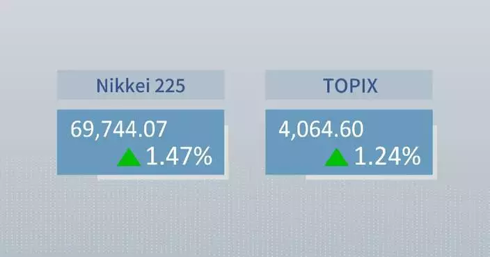 Tokyo stocks rise as dip buyers lift chip shares