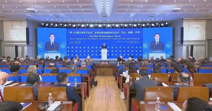 China to promote forging of widely-accepted global AI governance system: vice president